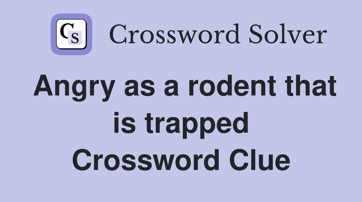 Angry as a rodent that is trapped - Crossword Clue Answers - Crossword